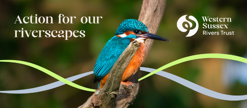 Photo of 'Love Your Lavant' Event - Friday 20th March